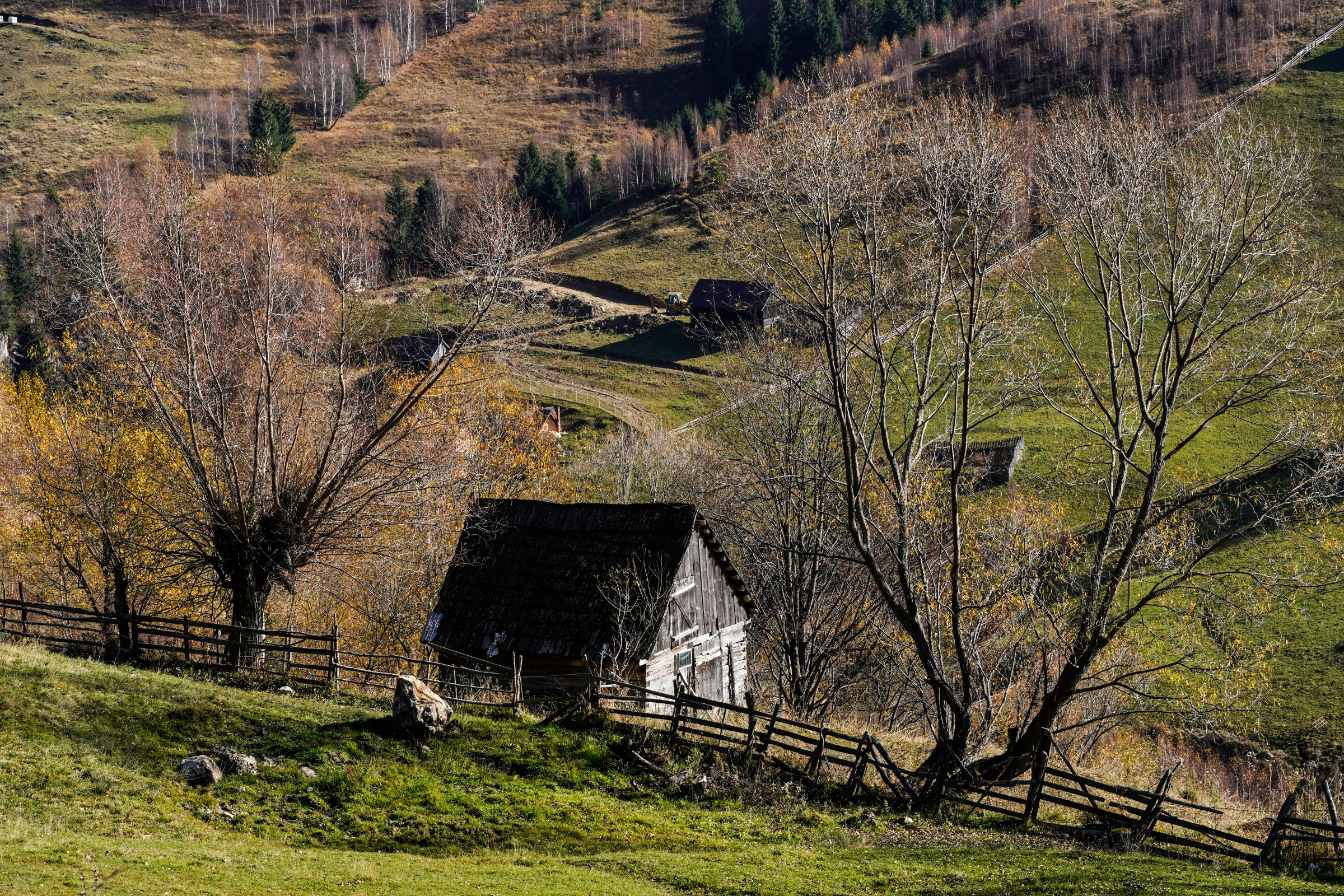 Pestera[1].webp